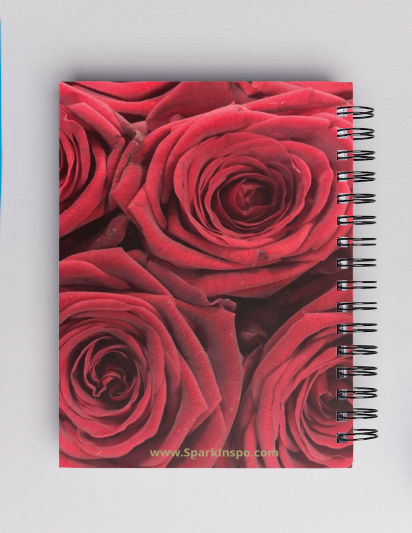 Build Your Own Dreams _Roses 5 X 7 in Lined Notebook Journal