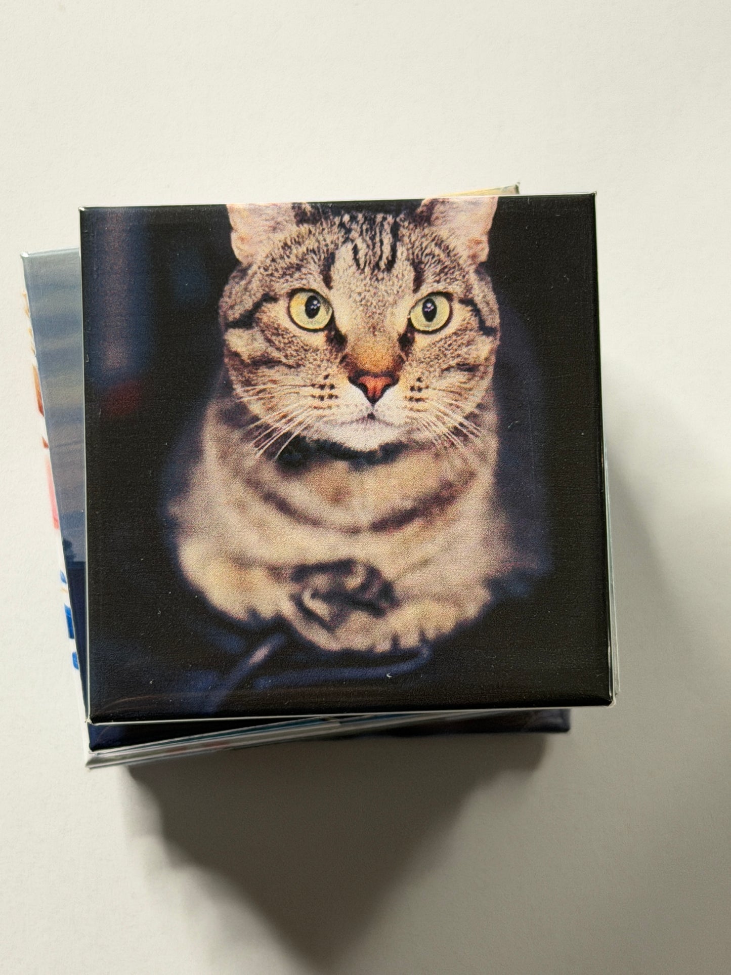 Custom Photo Magnets