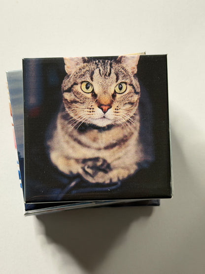 Custom Photo Magnets